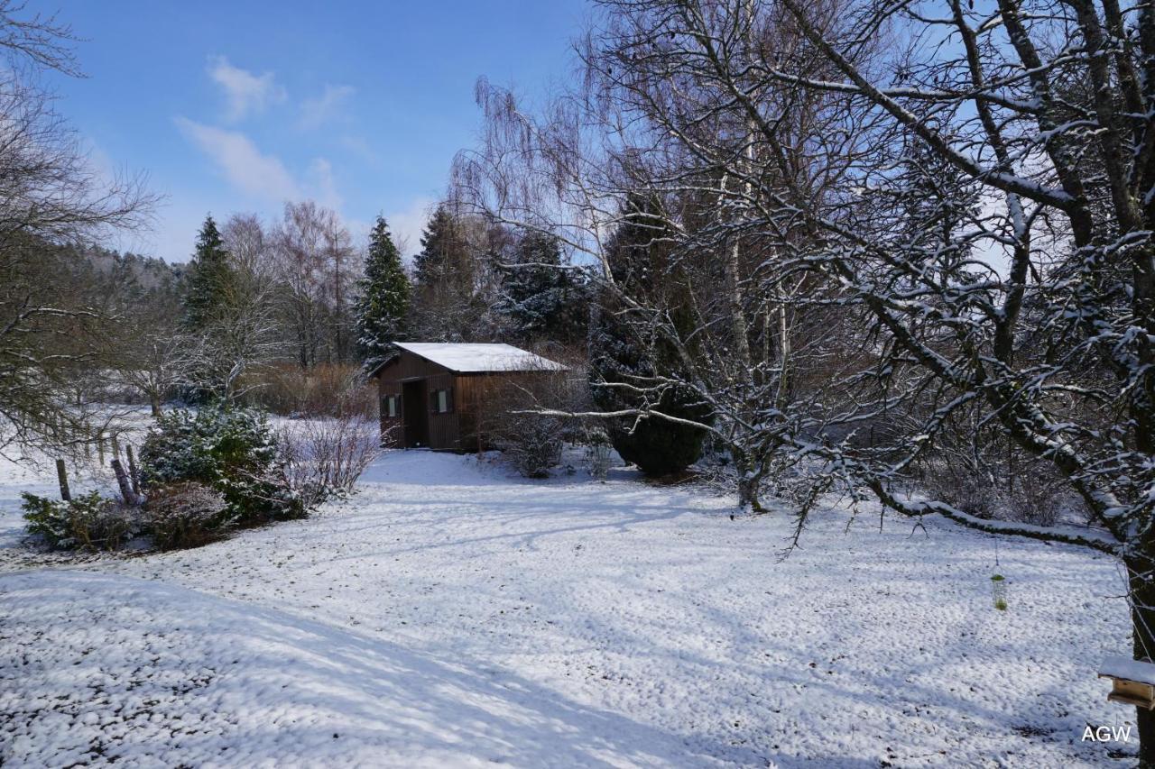 Bruyeres Chambres D'Hotes De L'Avison מראה חיצוני תמונה